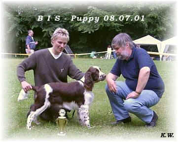 Mika BIS-Puppy