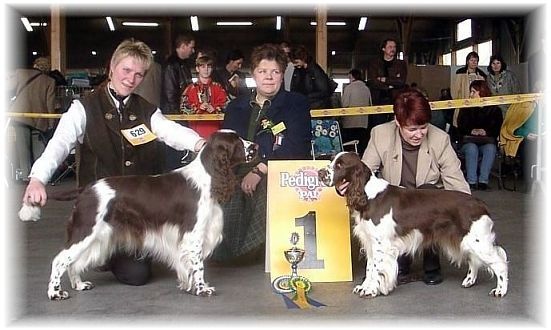 Foogel Spotlight "Mika" CACIB & BOB