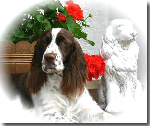 Jill`s 1.ster Geburtstag