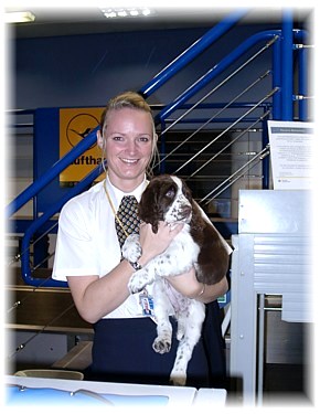 "Jill" auf dem Flughafen in Manchester