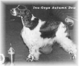 Inu-Goya Autumn Dew