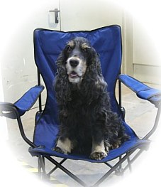 Unser lieber "Tino"