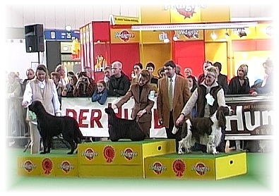 Sieger Gruppe 8