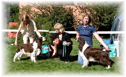 BOB Sprindale New Trick & BOS Adamant`s Estee Lauder
