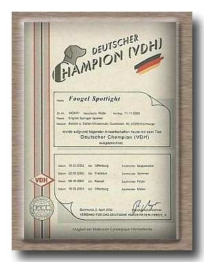 Champion-Urkunde best�tigt 02.04.03 