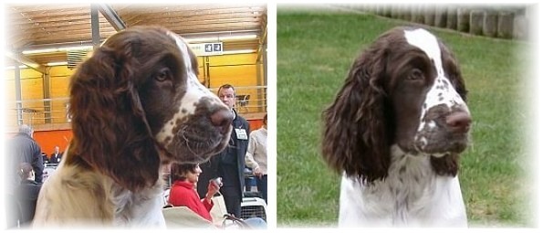 Mika`s daughter "Destiny" in age of 4 month & daddy Mika in same age too