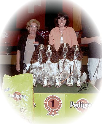 Sieger Zuchtgruppe Kennel De Syringa