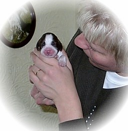 Jill 2 Tage alt