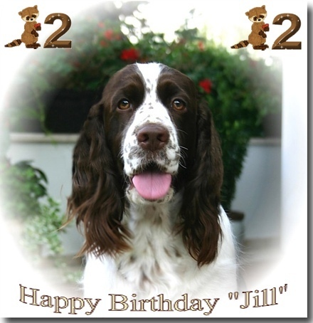 Jill 2 Jahre alt