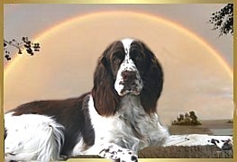 In Loving Memory of "Jill" 