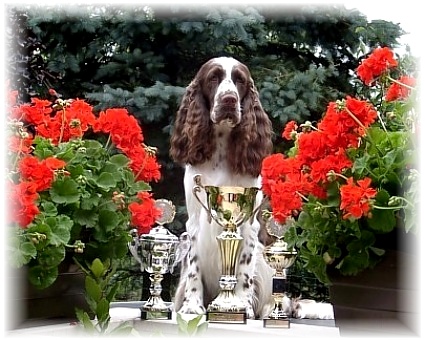 "Mika" - Best in Show !!!