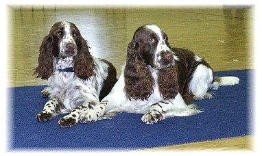 Mika & Duschka