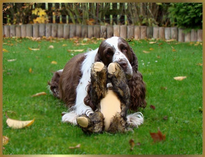 Happy Birthday Mika "11 Jahre"