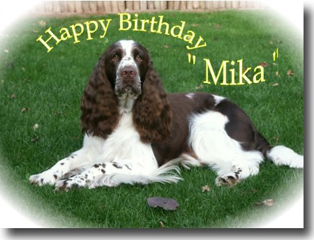 Mika`s 5.ter Geburtstag