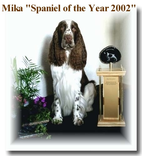 Mika and his new Cup for the "Spaniel of the Year 2002"