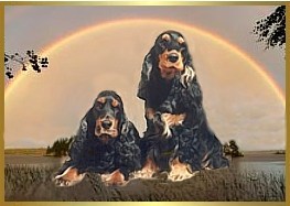 In Loving Memory of "Tino" & "Dusty"