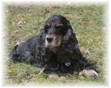 Tino 12 Jahre alt