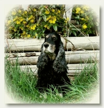 Tino an seinem 14.ten Geburtstag