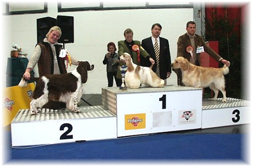 Ch.Foogel Spotlight "Mika" BIG-2 !!!