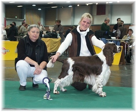Ch. Foogel Spotlight "Mika" Klubsieger Wels 2003