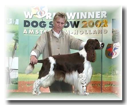 Foogel Spotlight "Winner Intermediate Class"
